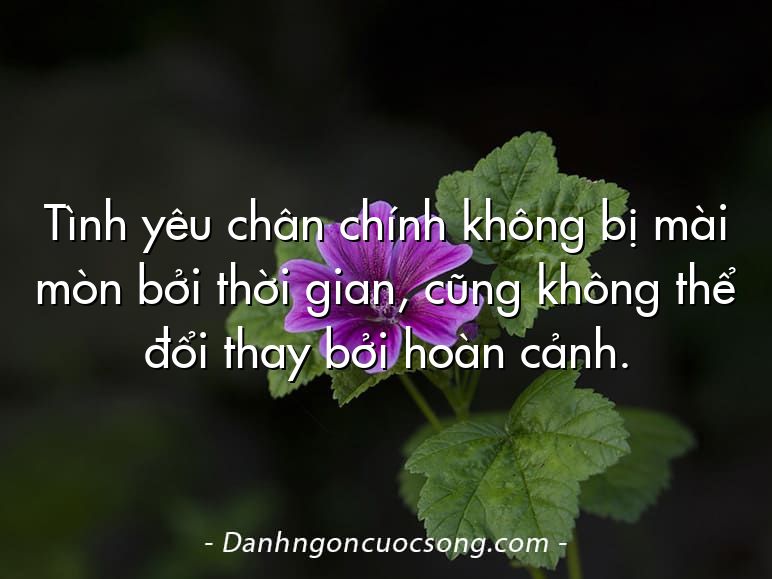 Tình yêu chân chính không bị mài mòn bởi thời gian, cũng không thể đổi thay bởi hoàn cảnh.  