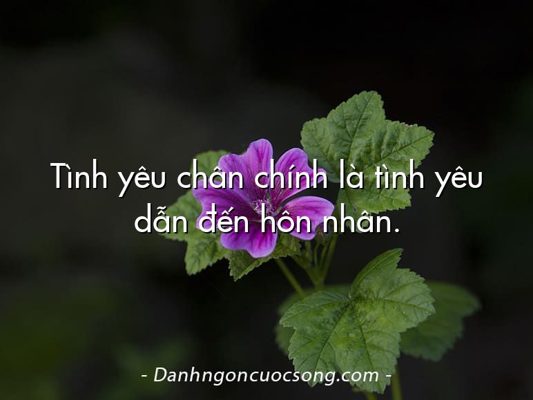 Tình yêu chân chính là tình yêu dẫn đến hôn nhân.