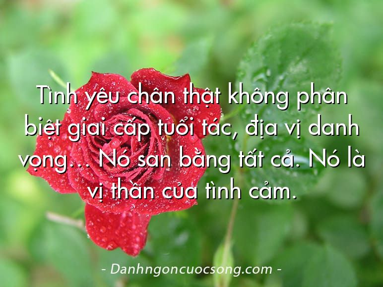 Tình yêu chân thật không phân biệt giai cấp tuổi tác, địa vị danh vọng… Nó san bằng tất cả. Nó là vị thần của tình cảm.
