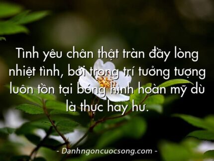Tình yêu chân thật tràn đầy lòng nhiệt tình, bởi trong trí tưởng tượng luôn tồn tại bóng hình hoàn mỹ dù là thực hay hư.   