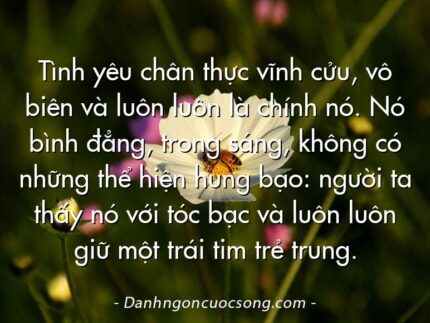 Tình yêu chân thực vĩnh cửu, vô biên và luôn luôn là chính nó. Nó bình đẳng, trong sáng, không có những thể hiện hung bạo: người ta thấy nó với tóc bạc và luôn luôn giữ một trái tim trẻ trung.