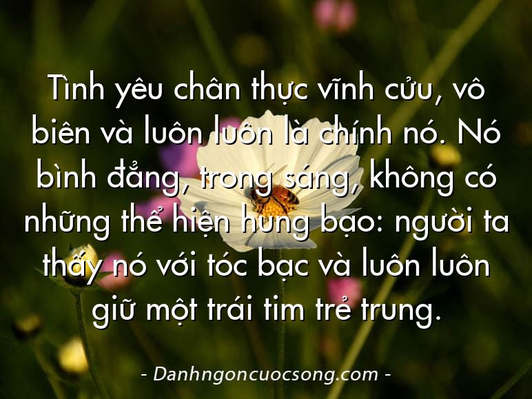 Tình yêu chân thực vĩnh cửu, vô biên và luôn luôn là chính nó. Nó bình đẳng, trong sáng, không có những thể hiện hung bạo: người ta thấy nó với tóc bạc và luôn luôn giữ một trái tim trẻ trung.