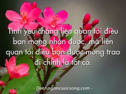 Tình yêu chẳng liên quan tới điều bạn mong nhận được, mà liên quan tới điều bạn được mong trao đi chính là tất cả.