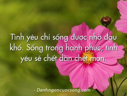 Tình yêu chỉ sống được nhờ đau khổ. Sống trong hạnh phúc, tình yêu sẽ chết dần chết mòn.