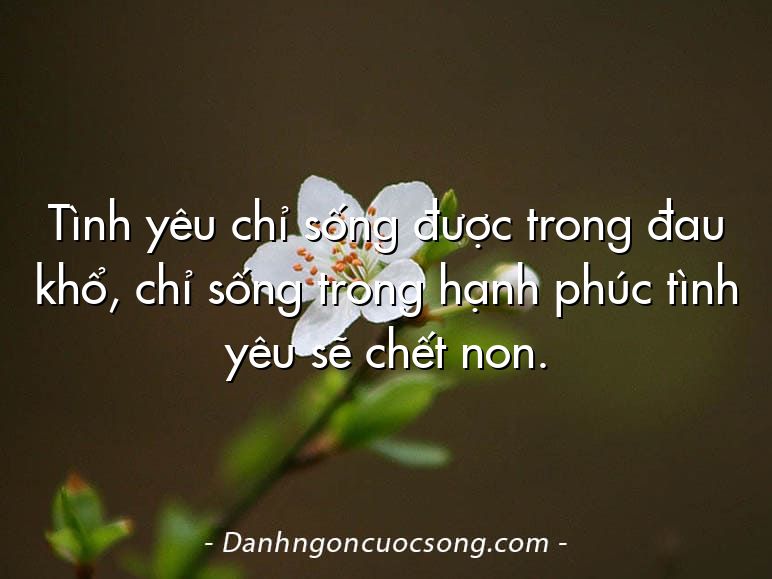 Tình yêu chỉ sống được trong đau khổ, chỉ sống trong hạnh phúc tình yêu sẽ chết non.