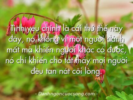 Tình yêu chính là cái thứ thế này đây, nó không vì một người đánh mất mà khiến người khác có được, nó chỉ khiến cho tất thảy mọi người đều tan nát cõi lòng.