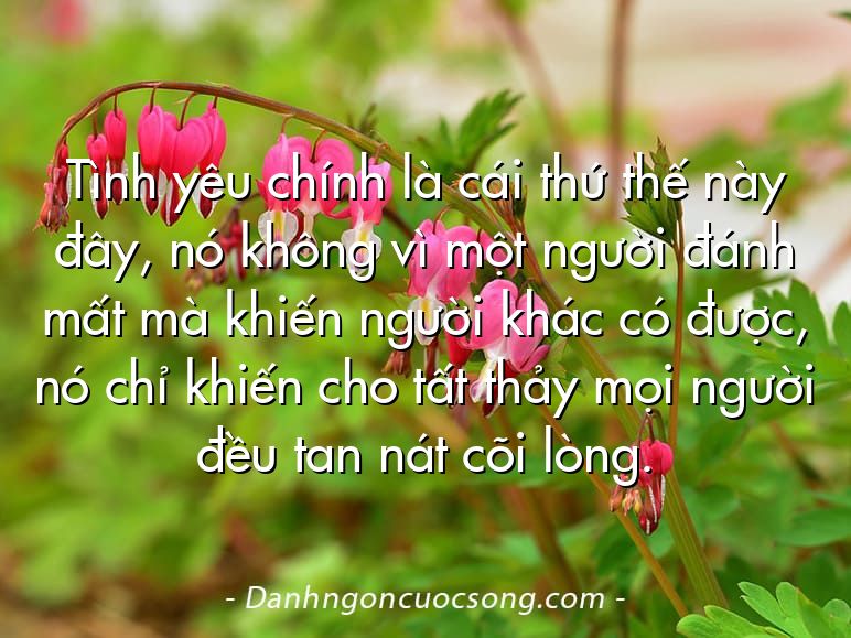 Tình yêu chính là cái thứ thế này đây, nó không vì một người đánh mất mà khiến người khác có được, nó chỉ khiến cho tất thảy mọi người đều tan nát cõi lòng.