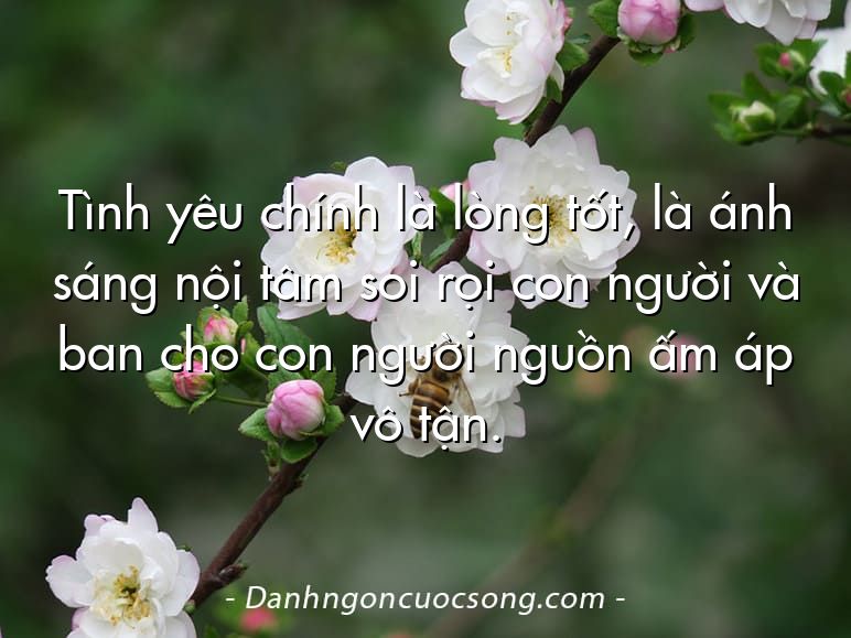 Tình yêu chính là lòng tốt, là ánh sáng nội tâm soi rọi con người và ban cho con người nguồn ấm áp vô tận.