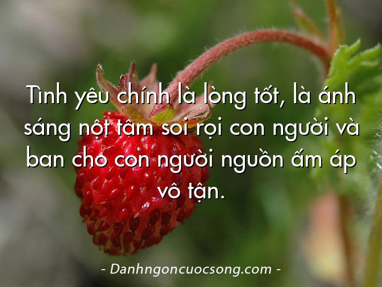 Tình yêu chính là lòng tốt, là ánh sáng nột tâm soi rọi con người và ban cho con người nguồn ấm áp vô tận.
