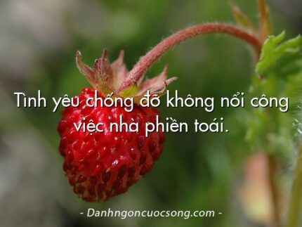Tình yêu chống đỡ không nổi công việc nhà phiền toái.