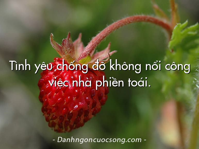 Tình yêu chống đỡ không nổi công việc nhà phiền toái.