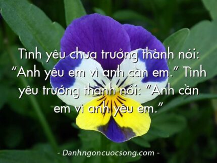 Tình yêu chưa trưởng thành nói: “Anh yêu em vì anh cần em.” Tình yêu trưởng thành nói: “Anh cần em vì anh yêu em.”