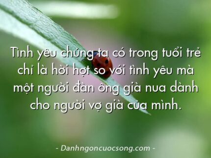 Tình yêu chúng ta có trong tuổi trẻ chỉ là hời hợt so với tình yêu mà một người đàn ông già nua dành cho người vợ già của mình.