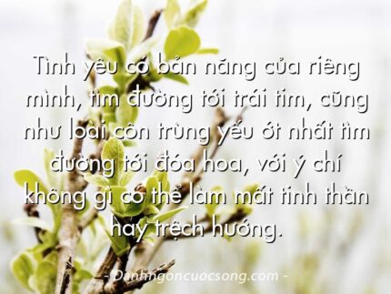 Tình yêu có bản năng của riêng mình, tìm đường tới trái tim, cũng như loài côn trùng yếu ớt nhất tìm đường tới đóa hoa, với ý chí không gì có thể làm mất tinh thần hay trệch hướng.