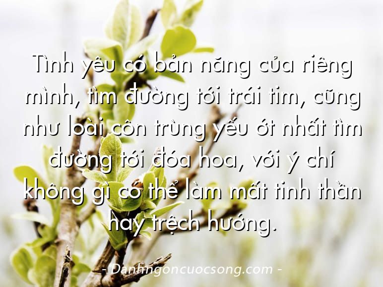 Tình yêu có bản năng của riêng mình, tìm đường tới trái tim, cũng như loài côn trùng yếu ớt nhất tìm đường tới đóa hoa, với ý chí không gì có thể làm mất tinh thần hay trệch hướng.