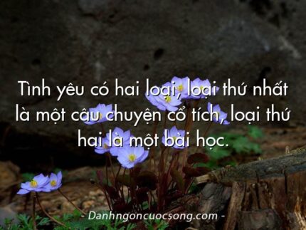 Tình yêu có hai loại, loại thứ nhất là một câu chuyện cổ tích, loại thứ hai là một bài học.