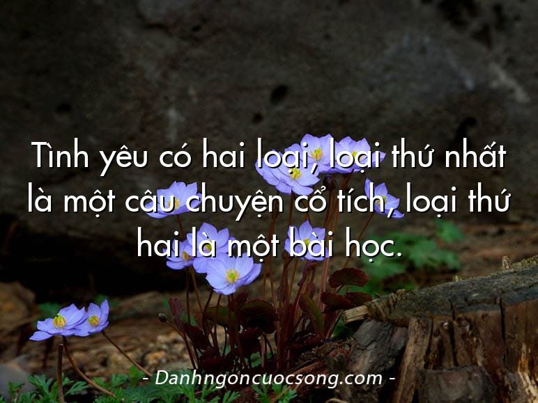 Tình yêu có hai loại, loại thứ nhất là một câu chuyện cổ tích, loại thứ hai là một bài học.