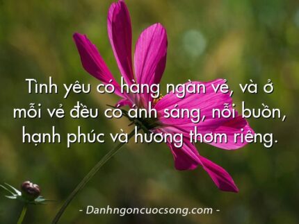 Tình yêu có hàng ngàn vẻ, và ở mỗi vẻ đều có ánh sáng, nỗi buồn, hạnh phúc và hương thơm riêng.