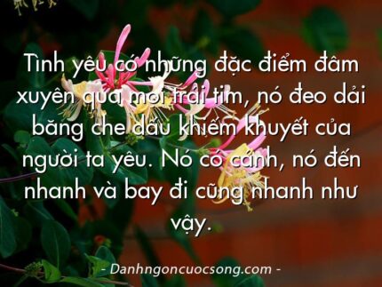 Tình yêu có những đặc điểm đâm xuyên qua mọi trái tim, nó đeo dải băng che dấu khiếm khuyết của người ta yêu. Nó có cánh, nó đến nhanh và bay đi cũng nhanh như vậy.