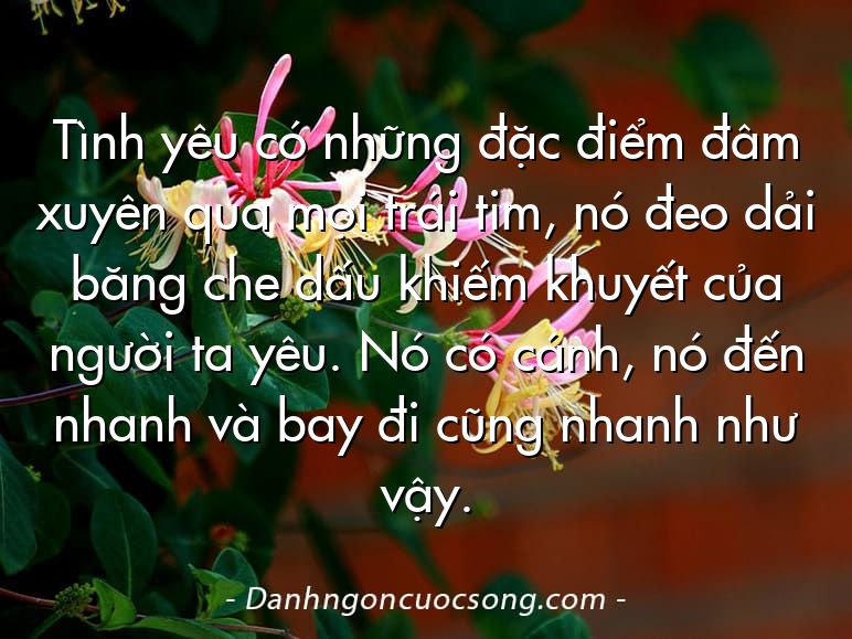 Tình yêu có những đặc điểm đâm xuyên qua mọi trái tim, nó đeo dải băng che dấu khiếm khuyết của người ta yêu. Nó có cánh, nó đến nhanh và bay đi cũng nhanh như vậy.