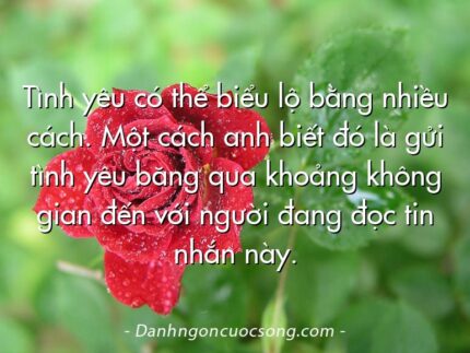 Tình yêu có thể biểu lộ bằng nhiều cách. Một cách anh biết đó là gửi tình yêu băng qua khoảng không gian đến với người đang đọc tin nhắn này.
