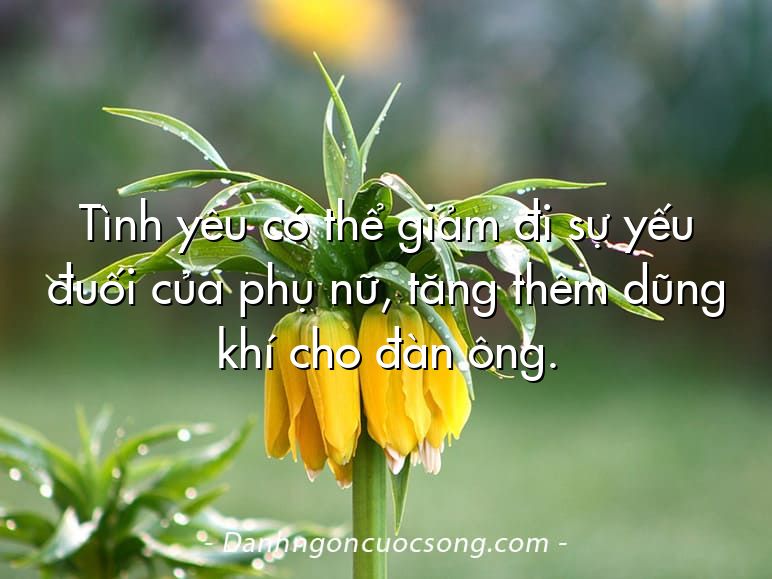 Tình yêu có thể giảm đi sự yếu đuối của phụ nữ, tăng thêm dũng khí cho đàn ông.