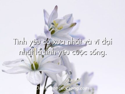 Tình yêu cổ xưa nhất và vĩ đại nhất là tình yêu cuộc sống.