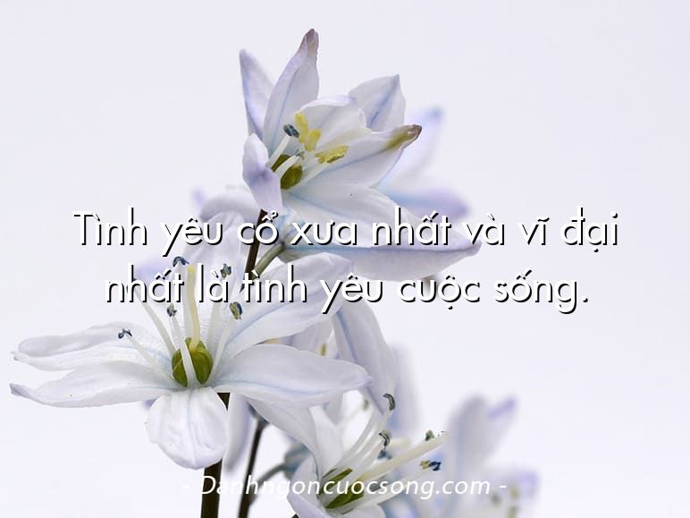Tình yêu cổ xưa nhất và vĩ đại nhất là tình yêu cuộc sống.