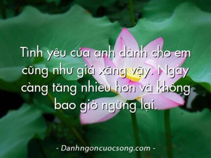 Tình yêu của anh dành cho em cũng như giá xăng vậy. Ngày càng tăng nhiều hơn và không bao giờ ngừng lại.