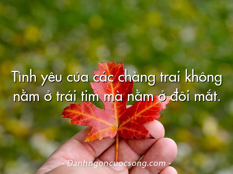 Tình yêu của các chàng trai không nằm ở trái tim mà nằm ở đôi mắt.