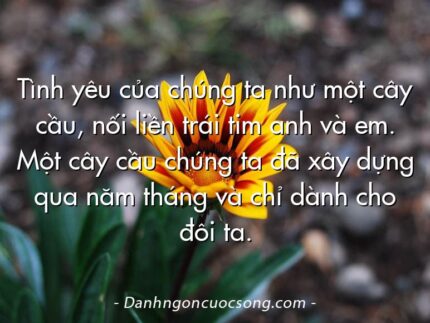 Tình yêu của chúng ta như một cây cầu, nối liền trái tim anh và em. Một cây cầu chúng ta đã xây dựng qua năm tháng và chỉ dành cho đôi ta.