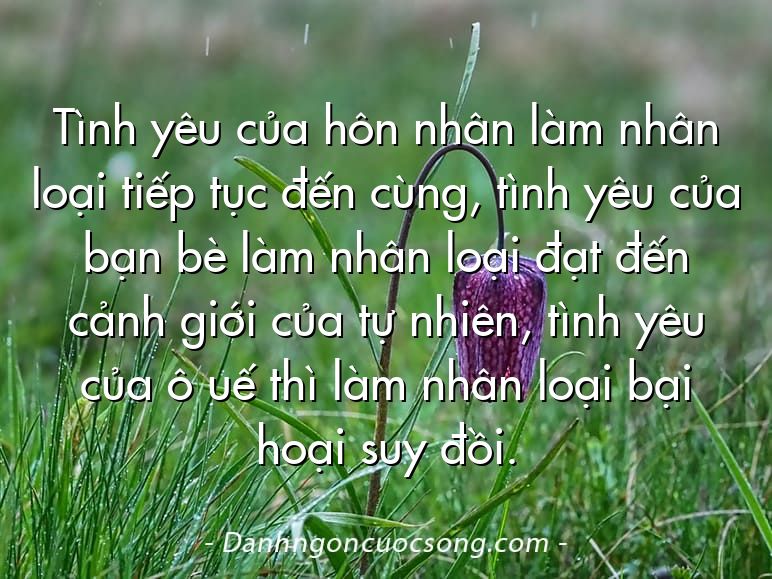 Tình yêu của hôn nhân làm nhân loại tiếp tục đến cùng, tình yêu của bạn bè làm nhân loại đạt đến cảnh giới của tự nhiên, tình yêu của ô uế thì làm nhân loại bại hoại suy đồi.