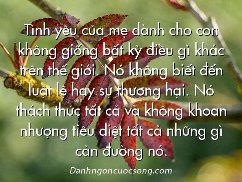 Tình yêu của mẹ dành cho con không giống bất kỳ điều gì khác trên thế giới. Nó không biết đến luật lệ hay sự thương hại. Nó thách thức tất cả và không khoan nhượng tiêu diệt tất cả những gì cản đường nó.
