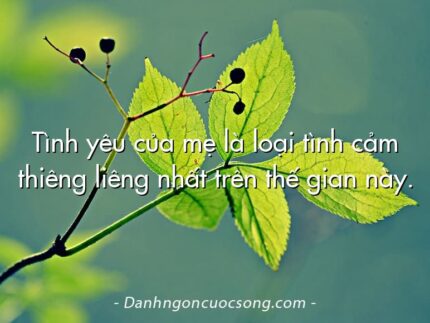 Tình yêu của mẹ là loại tình cảm thiêng liêng nhất trên thế gian này.
