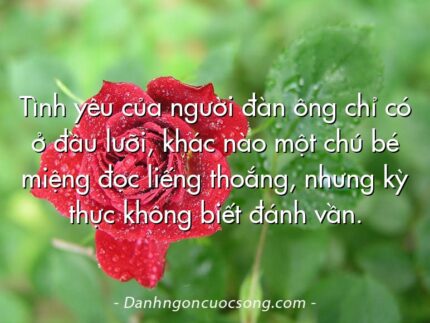 Tình yêu của người đàn ông chỉ có ở đầu lưỡi, khác nào một chú bé miệng đọc liếng thoắng, nhưng kỳ thực không biết đánh vần.