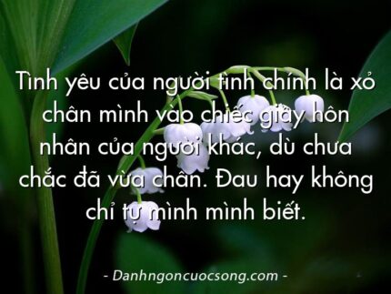 Tình yêu của người tình chính là xỏ chân mình vào chiếc giầy hôn nhân của người khác, dù chưa chắc đã vừa chân. Đau hay không chỉ tự mình mình biết.