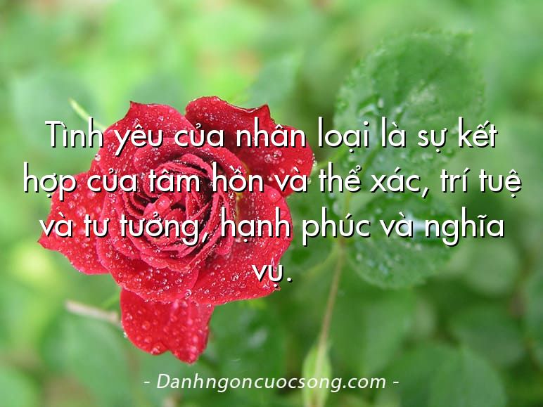Tình yêu của nhân loại là sự kết hợp của tâm hồn và thể xác, trí tuệ và tư tưởng, hạnh phúc và nghĩa vụ.