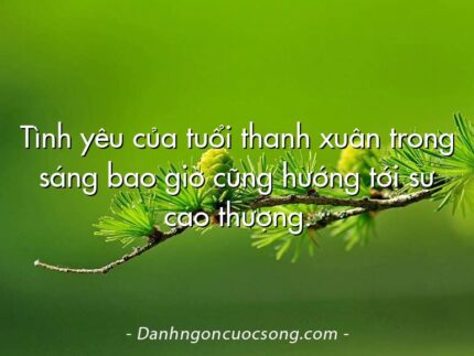 Tình yêu của tuổi thanh xuân trong sáng bao giờ cũng hướng tới sự cao thượng.