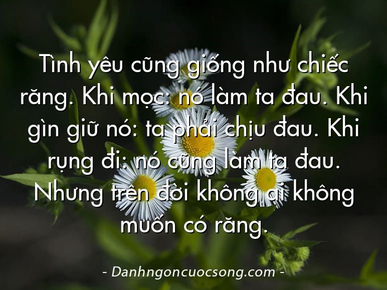 Tình yêu cũng giống như chiếc răng. Khi mọc: nó làm ta đau. Khi gìn giữ nó: ta phải chịu đau. Khi rụng đi: nó cũng làm ta đau. Nhưng trên đời không ai không muốn có răng.