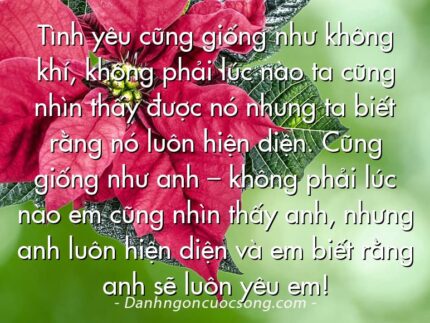 Tình yêu cũng giống như không khí, không phải lúc nào ta cũng nhìn thấy được nó nhưng ta biết rằng nó luôn hiện diện. Cũng giống như anh – không phải lúc nào em cũng nhìn thấy anh, nhưng anh luôn hiện diện và em biết rằng anh sẽ luôn yêu em!