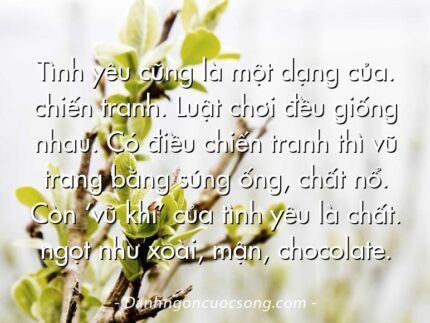 Tình yêu cũng là một dạng của. chiến tranh. Luật chơi đều giống nhau. Có điều chiến tranh thì vũ trang bằng súng ống, chất nổ. Còn ‘vũ khí’ của tình yêu là chất. ngọt như xoài, mận, chocolate.