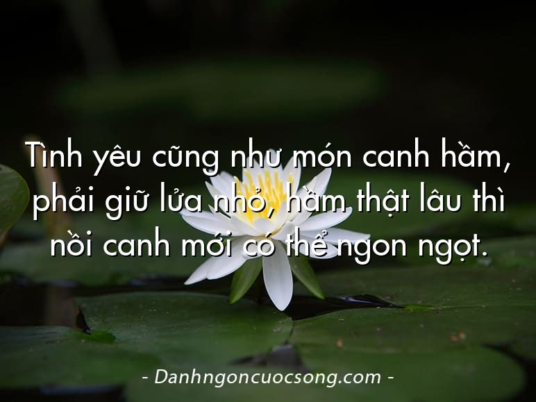 Tình yêu cũng như món canh hầm, phải giữ lửa nhỏ, hầm thật lâu thì nồi canh mới có thể ngon ngọt.