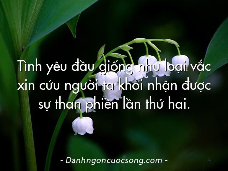 Tình yêu đầu giống như loại vắc xin cứu người ta khỏi nhận được sự than phiền lần thứ hai.