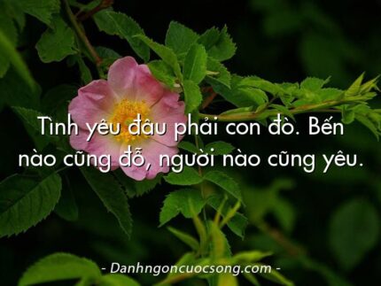 Tình yêu đâu phải con đò. Bến nào cũng đỗ, người nào cũng yêu.