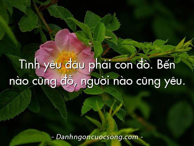 Tình yêu đâu phải con đò. Bến nào cũng đỗ, người nào cũng yêu.