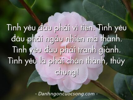 Tình yêu đâu phải vì tiền. Tình yêu đâu phải ngẫu nhiên mà thành. Tình yêu đâu phải tranh giành. Tình yêu là phải chân thành, thủy chung!