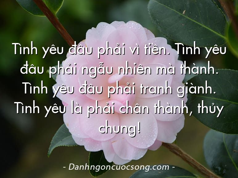 Tình yêu đâu phải vì tiền. Tình yêu đâu phải ngẫu nhiên mà thành. Tình yêu đâu phải tranh giành. Tình yêu là phải chân thành, thủy chung!
