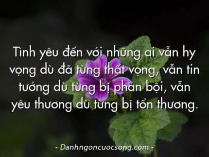 Tình yêu đến với những ai vẫn hy vọng dù đã từng thất vọng, vẫn tin tưởng dù từng bị phản bội, vẫn yêu thương dù từng bị tổn thương.