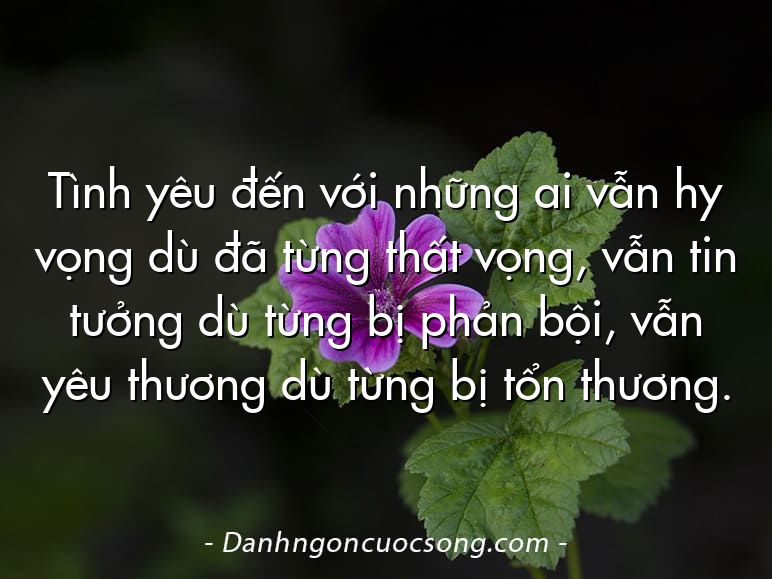 Tình yêu đến với những ai vẫn hy vọng dù đã từng thất vọng, vẫn tin tưởng dù từng bị phản bội, vẫn yêu thương dù từng bị tổn thương.