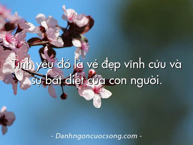 Tình yêu đó là vẻ đẹp vĩnh cửu và sự bất diệt của con người.